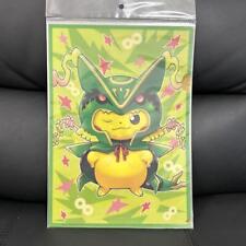Pikachu Wearing Mega Poncho Vol.2 A4 Clear File Set picture