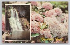 Mountain Laurel In Bloom At Bushkill Falls Postcard 2093 picture