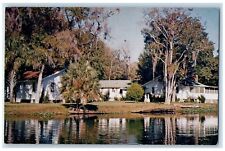 Blue Creek Lodge At St. Johns River And Lake George Astor Florida FL Postcard picture