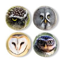Owl Set of 4 - 2.25 Inch Magnets for Fridge Whiteboard Office Kitchen Magnet picture