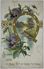 1907 Tucks Birthday Postcard Golden Horseshoe Purple Pansies Sunset Good Luck picture