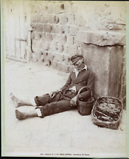 Alinari, Italy, Naples, Fish Seller, ca.1880, Vintage Print Wine Print picture