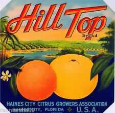 Haines City Polk County Florida Hill Top Orange Citrus Fruit Crate Label Print picture