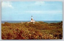 New York~View Of Montauk Point Lighthouse On Long Island~PM 1955~Vtg Postcard picture