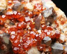 320g Top  Spessartine Garnet with Smoky Quartz Crystal Mineral Specimen picture