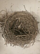 Real Natural Abandoned Bird Nest 6