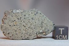 NWA 8672 CK5 Meteorite 5.4 gram Complete Slice picture