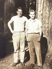 CF) Photograph 2 Handsome Men Posing Together Large Tree Sunlight 1940's picture