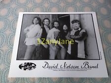 1989 Band 8x10 Press Photo PROMO MEDIA ,DAVID NELSON BAND, HIGH ADVENTURE RECORD picture