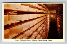 Tillamook OR-Oregon, Curing Tillamook Cheese Factory, Antique, Vintage Postcard picture