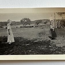 Antique Snapshot Photograph Young Woman In Dress & Bonnet On Farm Cows In Back picture