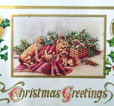 Christmas Postcard Embossed Pug Dog And Puppies Original Antique Unused Vintage picture