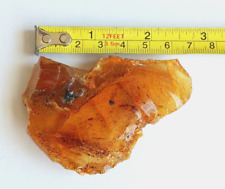 New Zealand Kauri Amber ~ 28 grams picture