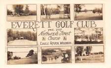 Eagle River Wisconsin Everett Golf Club Multiview Real Photo Postcard AA83440 picture