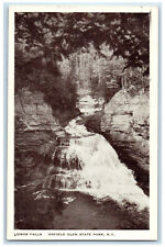 c1940's Lower Falls Enfield Glen State Park New York NY Vintage Postcard picture
