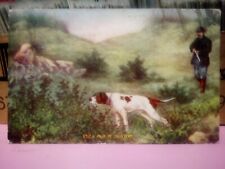 dog A Pair Of Hunters english pointer gun 1908 DB picture