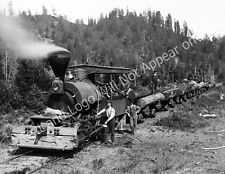 1900 Loaded Logging Train, California Vintage/ Old Photo 8.5
