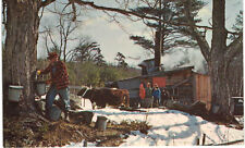 Middlebury, Vermont - Maple Sugar Time in New England - Vintage c1960 Postcard picture
