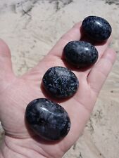 Lot of 4 Stunning Small Polished Polychrome Gabbro AGATES Mineral Specimens D5 picture