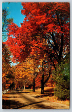 Magnificent Autumn Pennsylvania Vintage Postcard picture