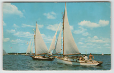 Postcard Chrome Sloop Sailboat Racing Along the Coastline in Maine picture