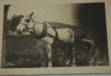 Antique Cabinet Card Photo 1880s Victorian In Hard Case Our Trusty Steeds picture