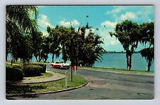 Winter Haven FL- Florida, Lake Howard Drive, Antique, Vintage Souvenir Postcard picture