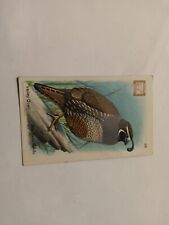 Vintage Church & Dwight's Soda Birds Series 4 Card No 28 Valley Quail picture
