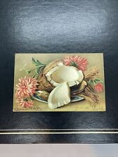 1906 Posted Split Open Coconut Unusual  Still Life Flowers Postcard picture