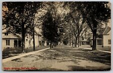 Sturgis Michigan~Homes on Shady Maple Avenue~Wrap-Around Porch  c1910 Postcard picture