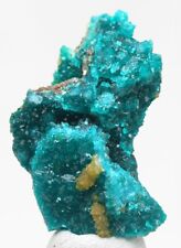 DIOPTASE WULFENITE Specimen Crystal Cluster Mineral Emerald Green CONGO picture