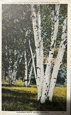 1932 Mohawk Trail Gleaming White Greenfield MA Massachusetts Postcard Vintage picture
