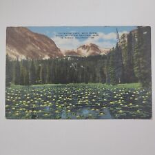 Rocky Mountain National Park Co Colorado Chickadee Lake Vintage Linen Postcard picture
