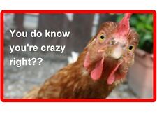 Crazy Chicken  Refrigerator  / Tool Box /  Magnet  picture