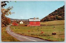 Delhi New York~Farm Scene On Route 30~Cattle Graze~Barn~Vintage Postcard picture