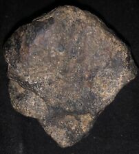 meteorites for sale picture