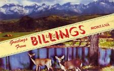GREETINGS FROM BILLINGS, MONTANA mountains and deer 1957 picture