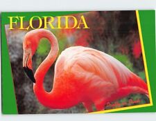 Postcard Florida Flamingo USA picture