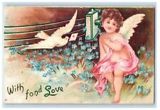 1910 Valentine Angel Cherub Dove Bird Letter Embossed Fort Plan NY Postcard picture