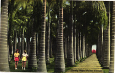 Stately Royal Palms Women Holding Hands Florida Linen Postcard Unused c1940s picture