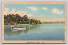 Greetings From Fenton Michigan MI Sailboats in Lake Vintage Linen Postcard picture