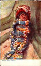 Vtg Arizona AZ Piute Indian Papoose Native American pre-1908 Tuck Postcard picture