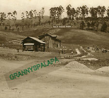 Antique Sepia Photo-Rock Ridge Park-Buildings-People Harvest-Palms-Marked #113 picture