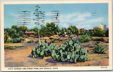 postcard San Angelo, Texas - Cacti Garden, Abe Street Park picture
