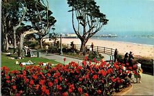 Cannas Palisades Park Wilshire Blvd Ocean Ave Santa Monica CA VTG Postcard UNP picture