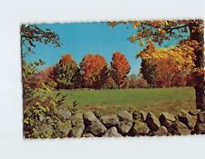 Postcard Rock Wall & Fall Foliage New England USA picture