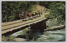 Packing in Trinity County California Pack Mules Crossing Bridge Vintage Postcard picture