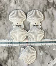 Set of Faux Scallop Shells for Crafting picture