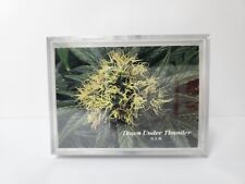 1996 InLine Hemp Cards Serial Numbered The Marijuana Stories Factory Sealed Set  picture