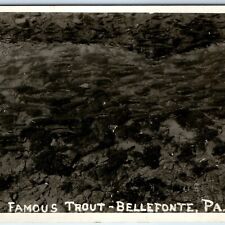 c1930s Bellefonte, PA RPPC Famous Trout Sager Real Photo Rainbow River Penn A168 picture